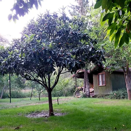 Tatil parkı Kibala