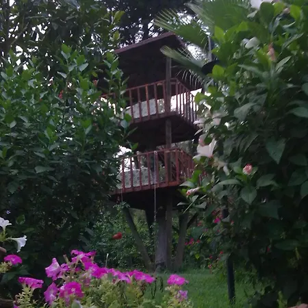 Tatil parkı Kibala