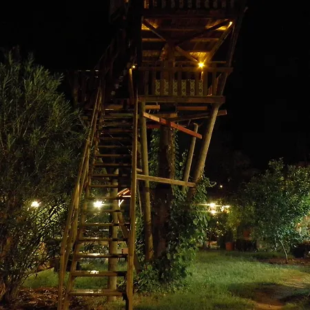 Kibala Tatil parkı Çıralı
