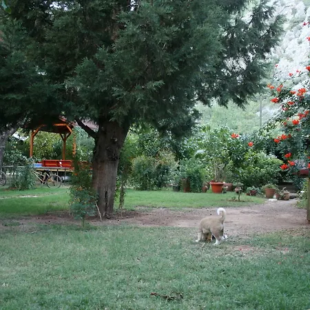 Kibala