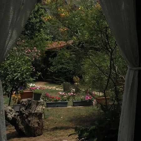 Kibala