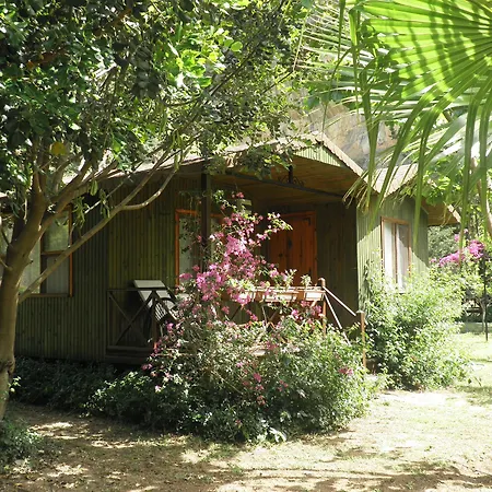 Kibala Tatil parkı 2*